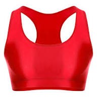 Red Crop Top